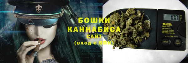 МДПВ Ельня