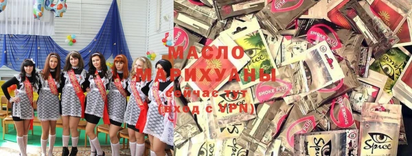 МДПВ Ельня