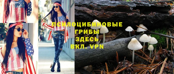 МДПВ Ельня