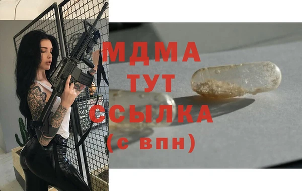 МДПВ Ельня