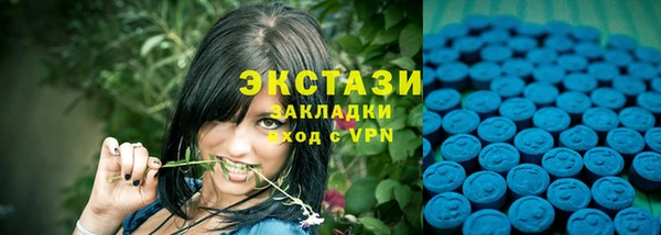 МДПВ Ельня